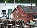 NFLD_drive_to_and-viking_settlement 720